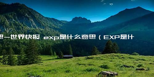 意思-世界快报 exp是什么意思（EXP是什么意思）